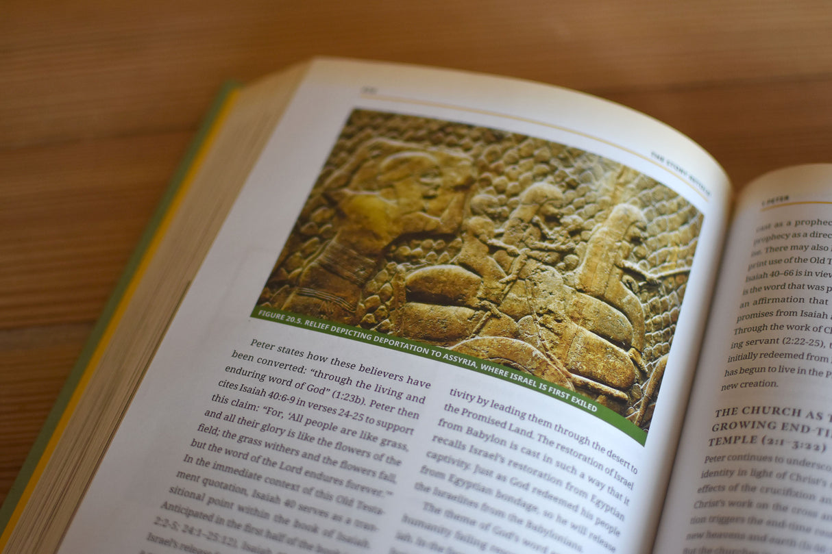 The Story Retold: A Biblical-Theological Introduction to the New Testament