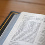 ESV Heirloom Thinline Bible (Goatskin, Blue)