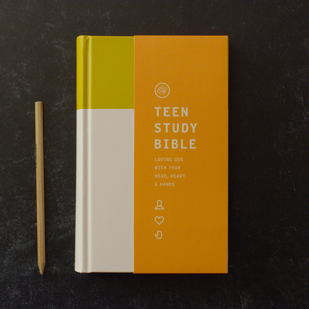 ESV Teen Study Bible (Hardcover, Desert Sun)