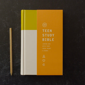 ESV Teen Study Bible (Hardcover, Desert Sun)