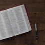 ESV Premium Gift Bible (Trutone, Raspberry, Emblem Design)