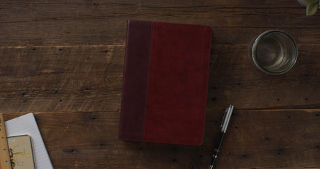 ESV Single Column Journaling Bible, Large Print (Trutone, Burgundy/Red, Timeless Design)