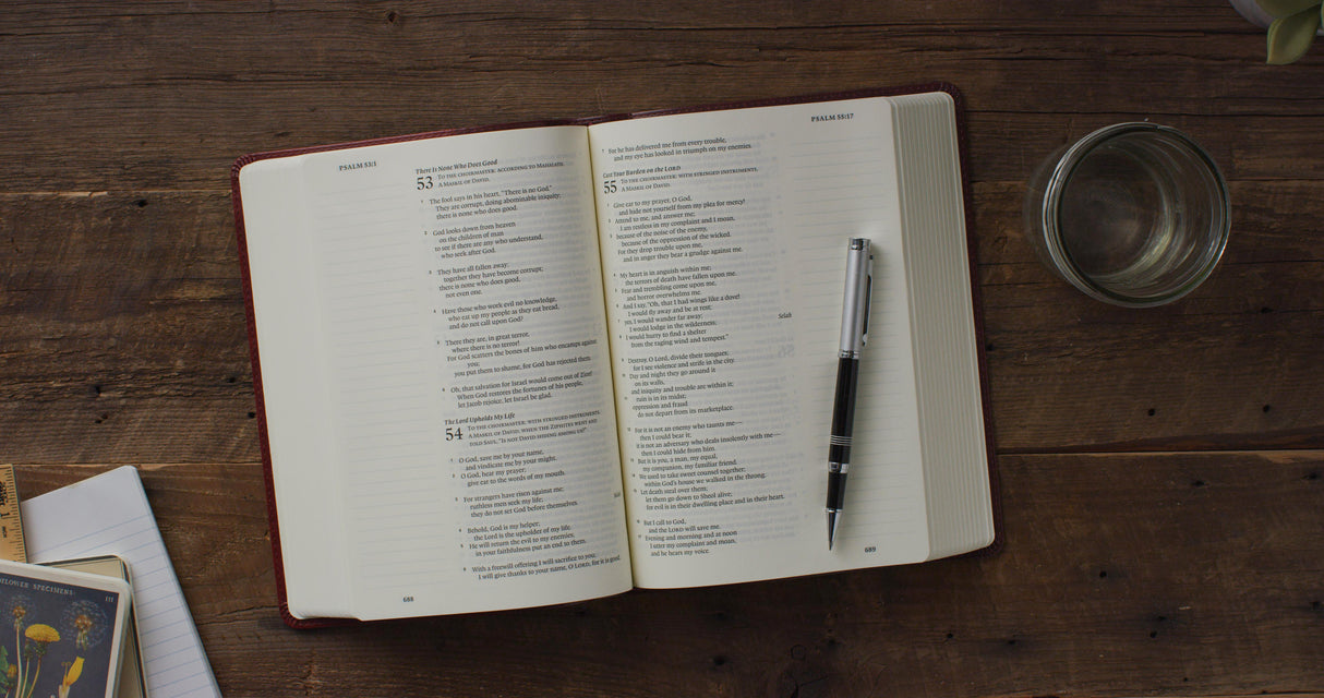 ESV Single Column Journaling Bible, Large Print (Trutone, Burgundy/Red, Timeless Design)