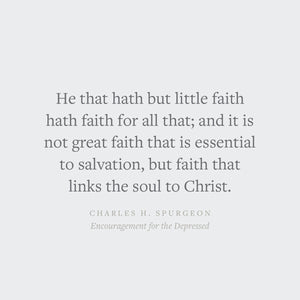 Encouragement for the Depressed (Crossway Short Classics)