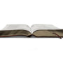 ESV Gospel Transformation Study Bible (TruTone, Burgundy/Red, Timeless Design)