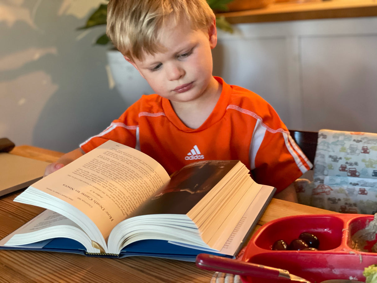 The Child's Story Bible (with Color Illustrations)