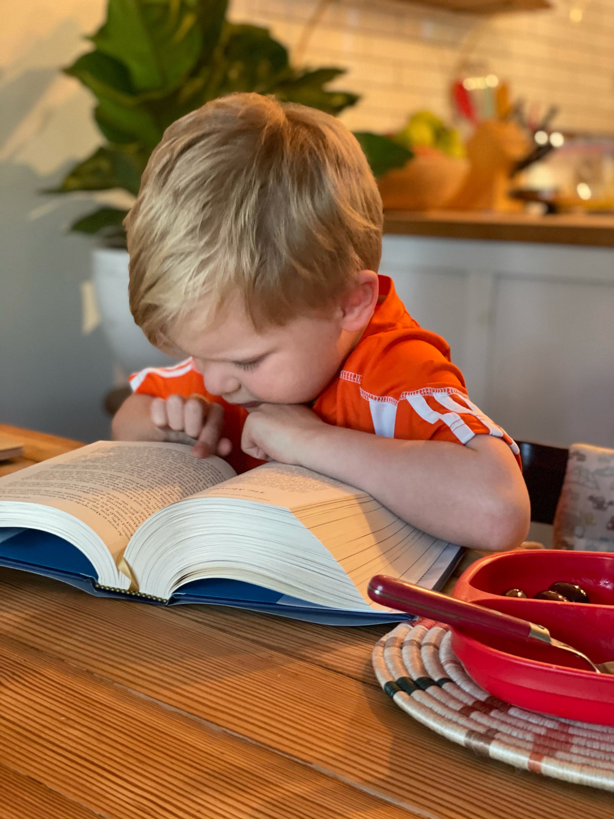 The Child's Story Bible (with Color Illustrations)