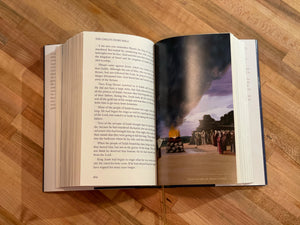 The Child's Story Bible (with Color Illustrations)