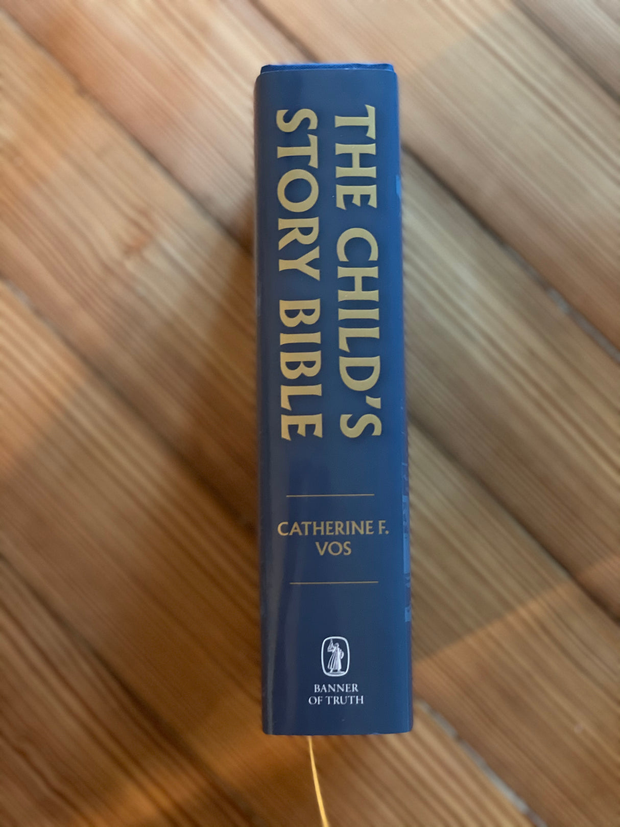 The Child's Story Bible (with Color Illustrations)