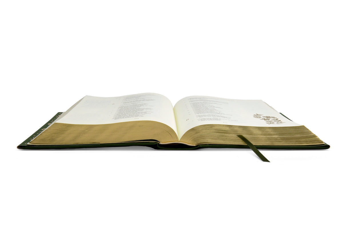 ESV Illuminated Bible, Art Journaling Edition (Hardcover, Green)
