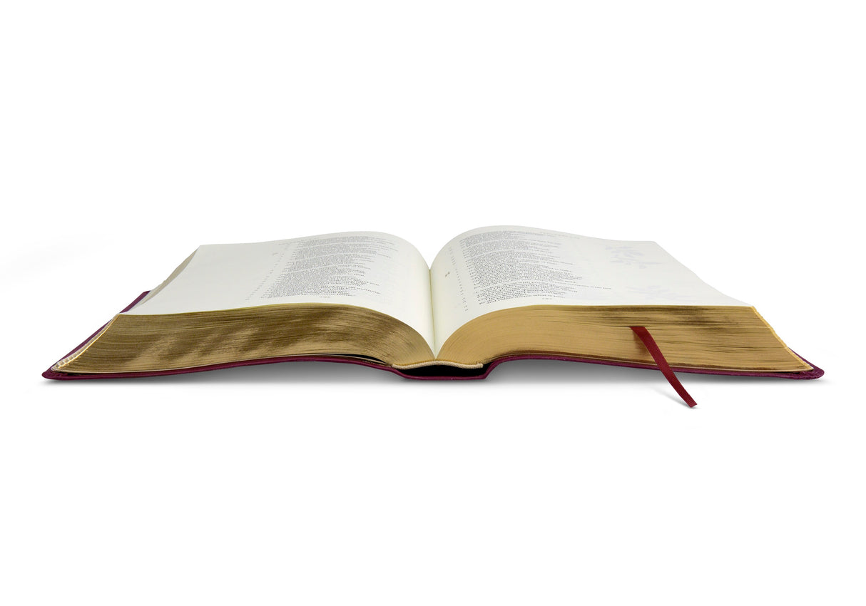 ESV Illuminated Bible, Art Journaling Edition (TruTone, Burgundy)