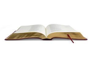 ESV Illuminated Bible, Art Journaling Edition (TruTone, Burgundy)