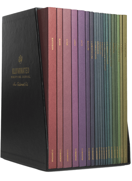 ESV Illuminated Scripture Journal: New Testament Set cover image