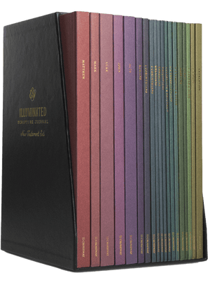 ESV Illuminated Scripture Journal: New Testament Set cover image