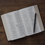 ESV Large Print Personal Size Bible (Trutone, Forest/Tan, Trail Design)