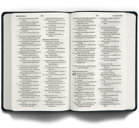 ESV Large Print Value Thinline Bible (Trutone, Camel)