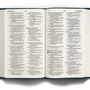 ESV Large Print Value Thinline Bible (Trutone, Camel)