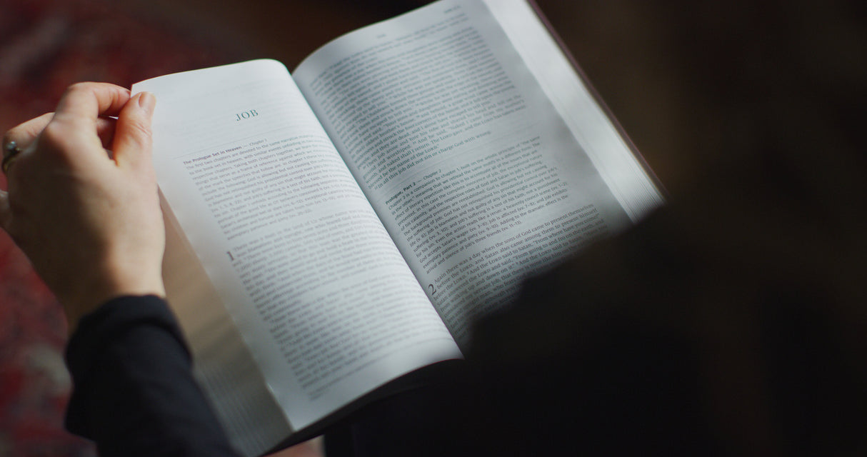 ESV Literary Study Bible (Cloth Over Board)