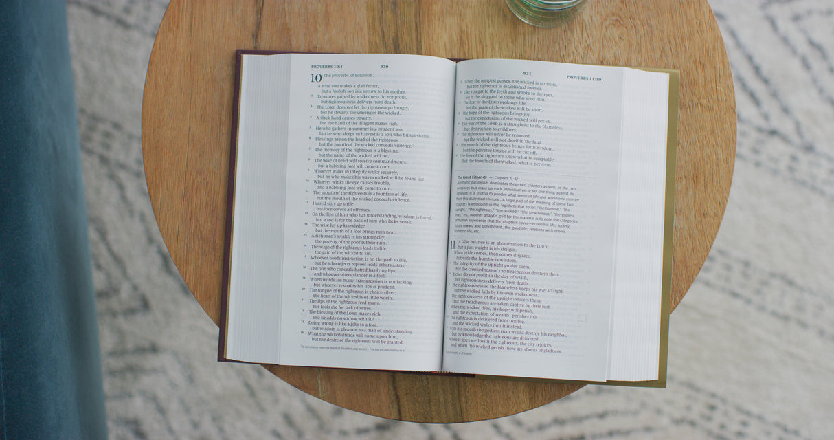 ESV Literary Study Bible (Cloth Over Board)