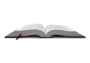 ESV Literary Study Bible (Cloth Over Board)