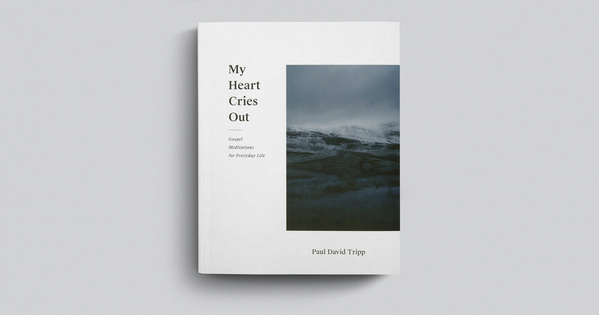 My Heart Cries Out: Gospel Meditations for Everyday Life