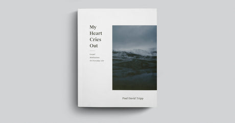 My Heart Cries Out: Gospel Meditations for Everyday Life