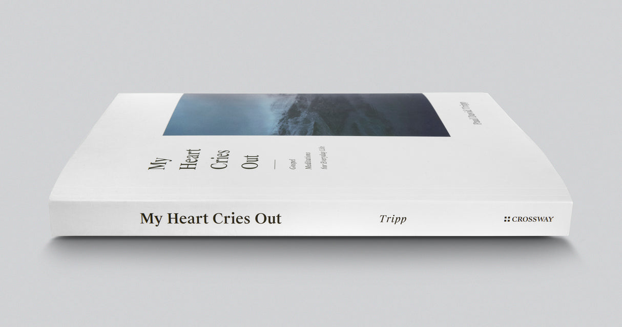 My Heart Cries Out: Gospel Meditations for Everyday Life