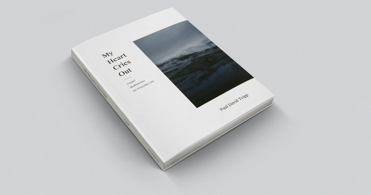 My Heart Cries Out: Gospel Meditations for Everyday Life