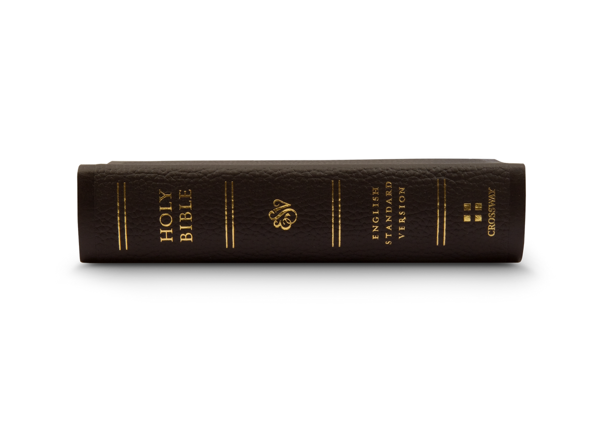 ESV Pocket Bible (Buffalo Leather, Deep Brown)