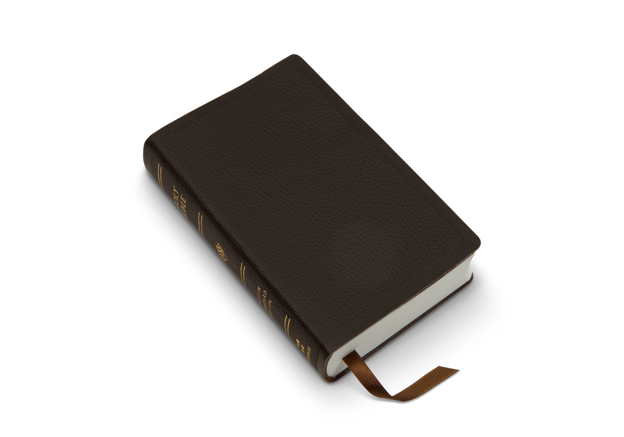 ESV Pocket Bible (Buffalo Leather, Deep Brown)