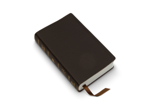 ESV Pocket Bible (Buffalo Leather, Deep Brown)