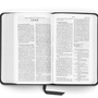 ESV Pocket Bible (Trutone, Black)