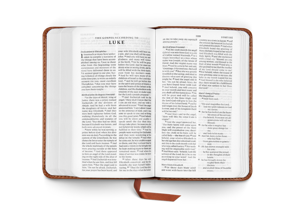 ESV Pocket Bible (Trutone, Chestnut)