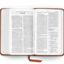 ESV Pocket Bible (Trutone, Chestnut)
