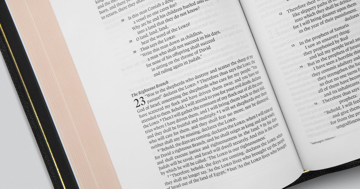 ESV Preaching Bible (Goatskin, Black)