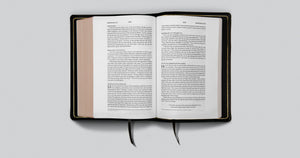 ESV Preaching Bible (Goatskin, Black)