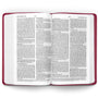 ESV Premium Gift Bible (Trutone, Raspberry, Emblem Design)