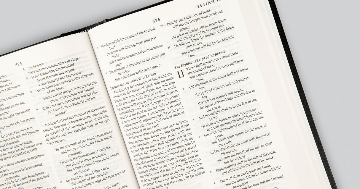 ESV Premium Pew and Worship Bible (Hardcover, Blue) (1022366122031)