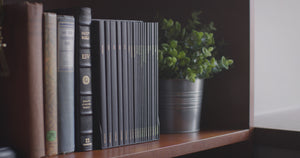 ESV Scripture Journal: New Testament Set (Paperback) (1018286932015)