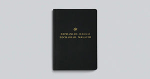ESV Scripture Journal: Old Testament Set (Paperback)