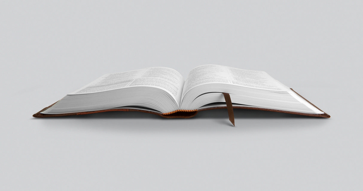 ESV Student Study Bible (Trutone, Brown/Cordovan, Portfolio Design)