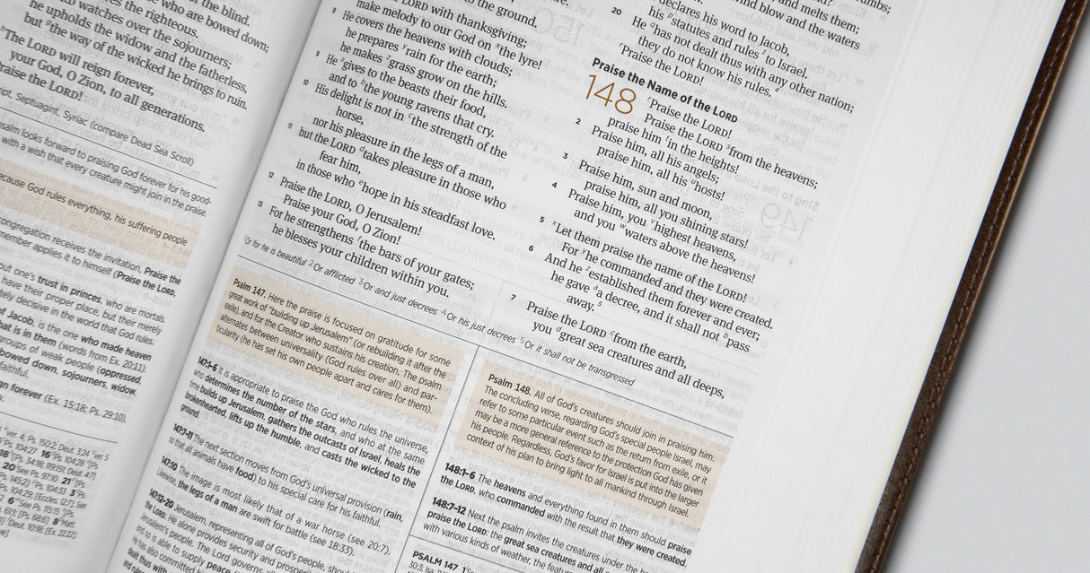 ESV Student Study Bible (Trutone, Brown/Cordovan, Portfolio Design)