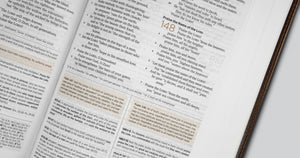 ESV Student Study Bible (Trutone, Brown/Cordovan, Portfolio Design)