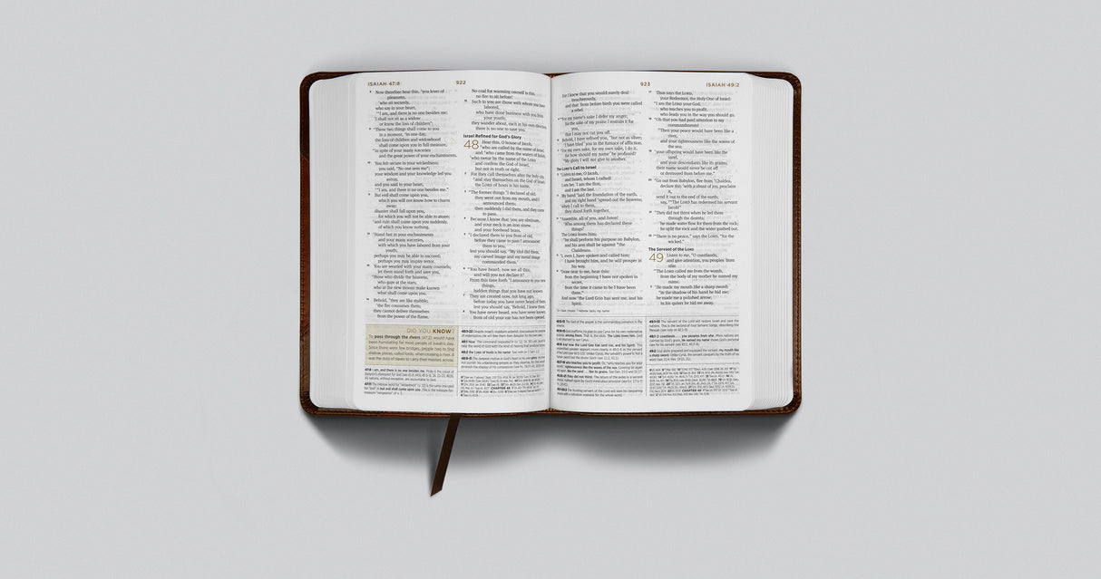 ESV Student Study Bible (Trutone, Brown/Cordovan, Portfolio Design)