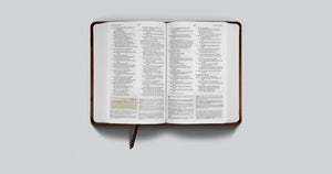 ESV Student Study Bible (Trutone, Brown/Cordovan, Portfolio Design)