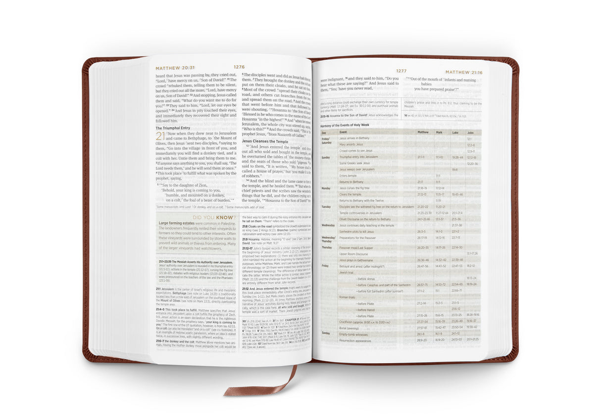 ESV Student Study Bible (TruTone, Chestnut)