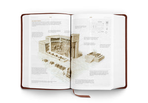 ESV Student Study Bible (TruTone, Chestnut)