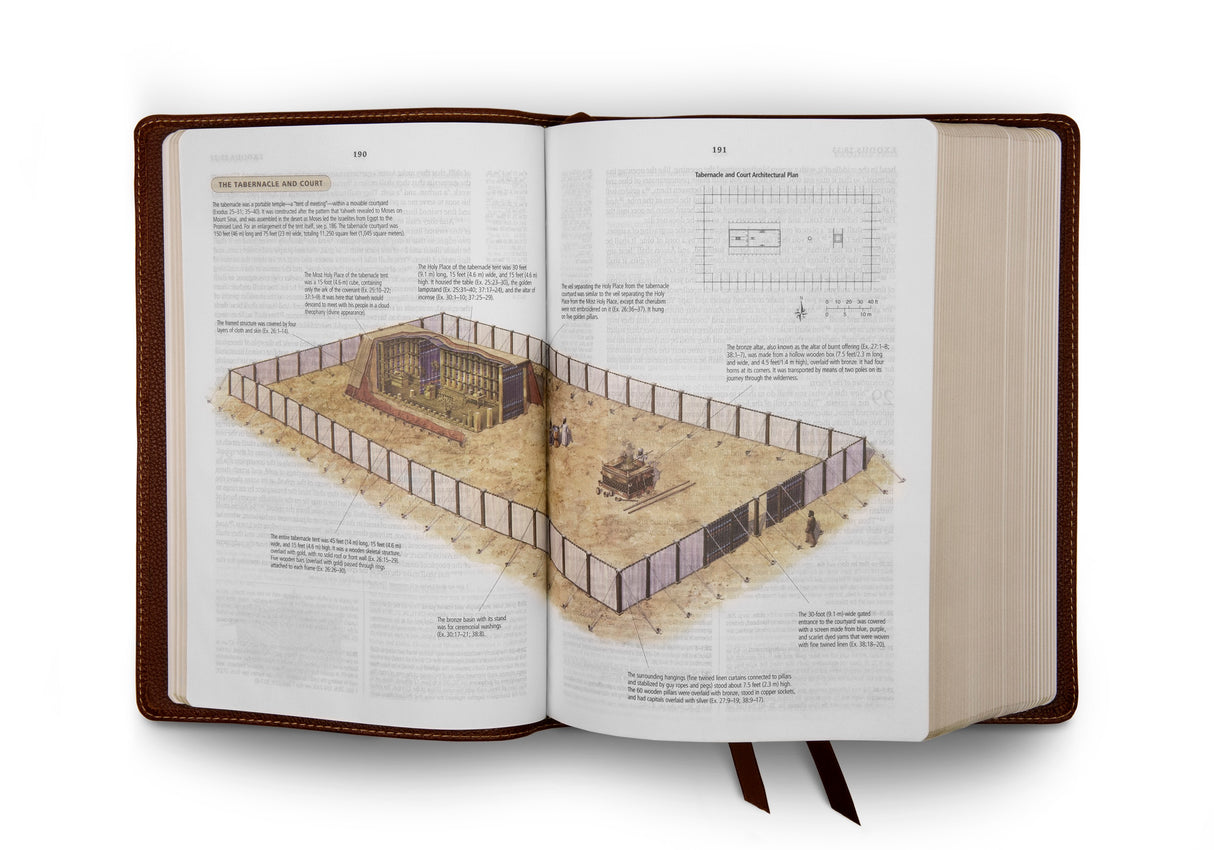 ESV Study Bible (Cowhide, Deep Brown)
