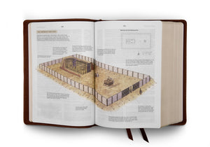 ESV Study Bible (Cowhide, Deep Brown)