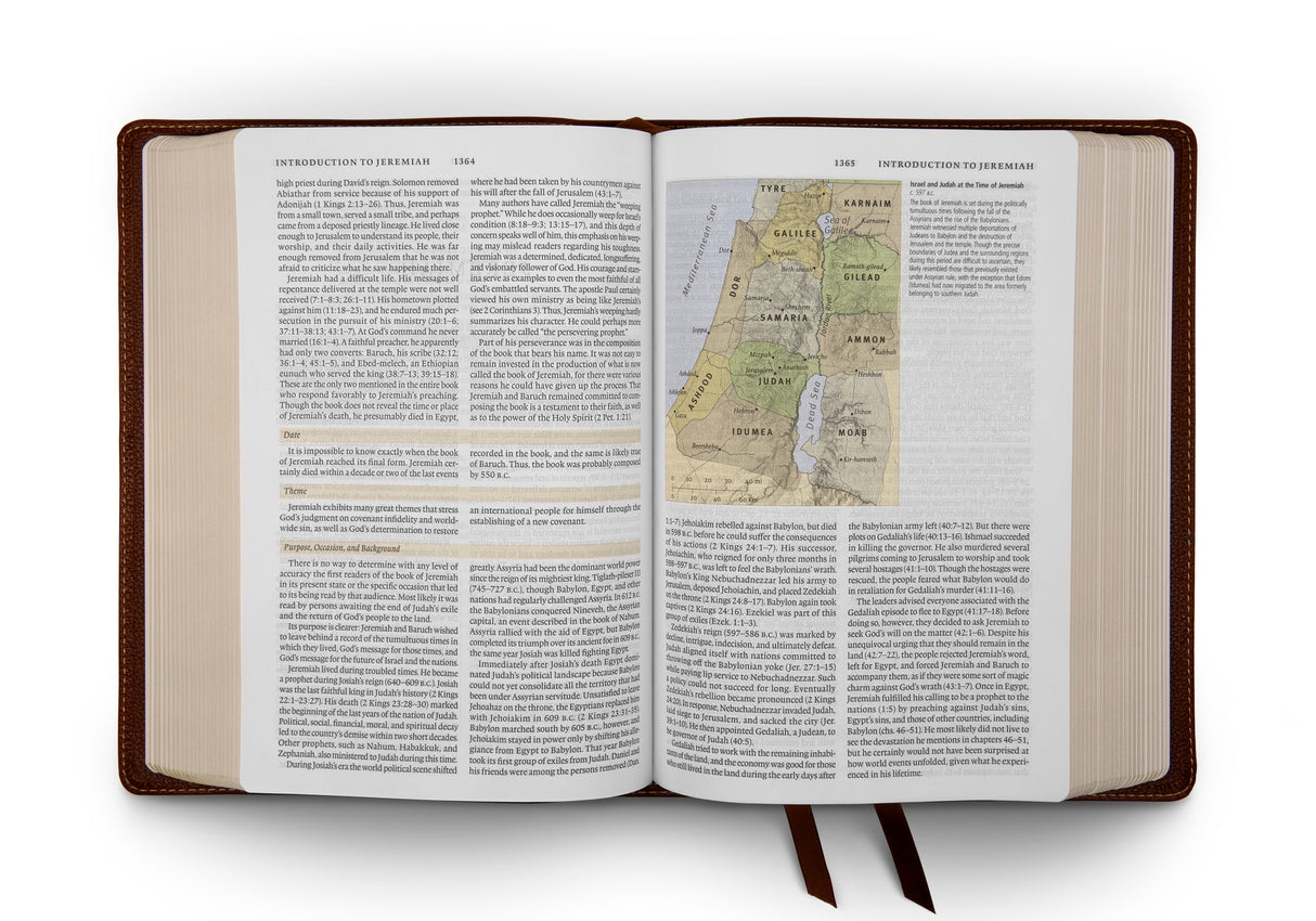 ESV Study Bible (Cowhide, Deep Brown)